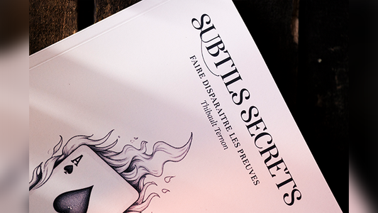 Subtle Secrets 1 by Thibault Ternon