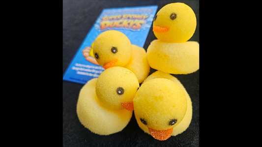 Super Spongy Duckies (4)