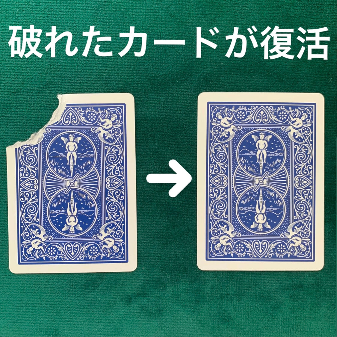 破れたカードが復活 – kdmagic
