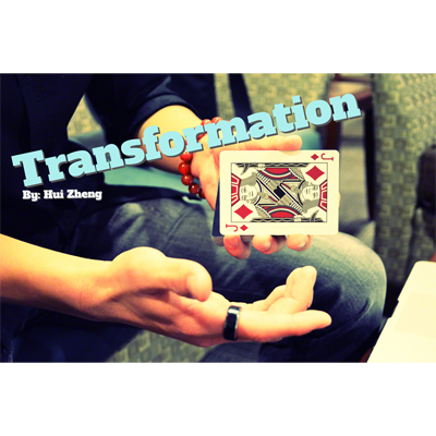 Transformation by Hui Zheng - Video DOWNLOAD