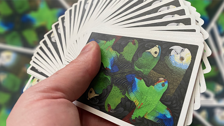 Parrot Prototype Playing Cards