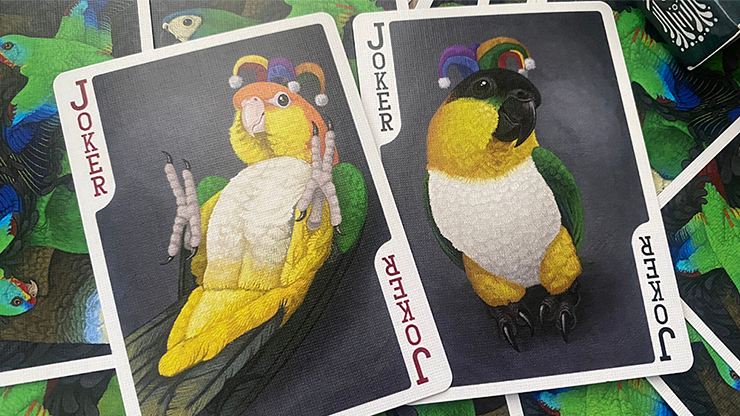 Parrot Prototype Playing Cards