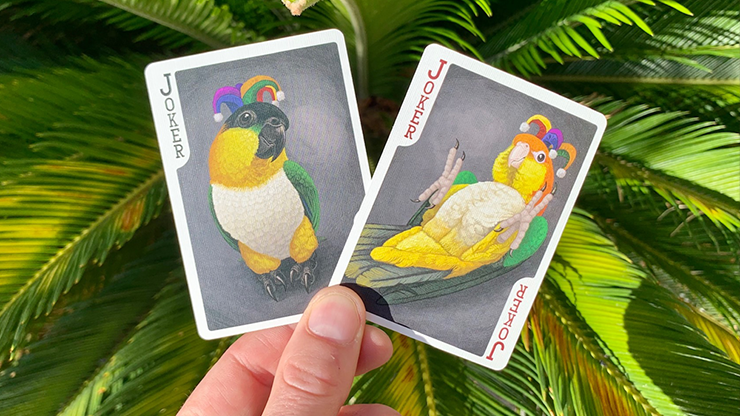 Bicycle Parrot Playing Cards