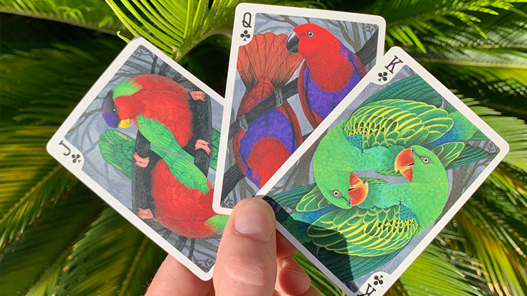 Bicycle Parrot Playing Cards