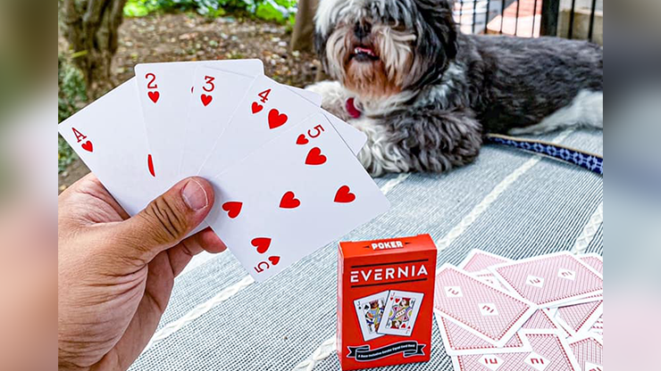 Evernia Playing Cards