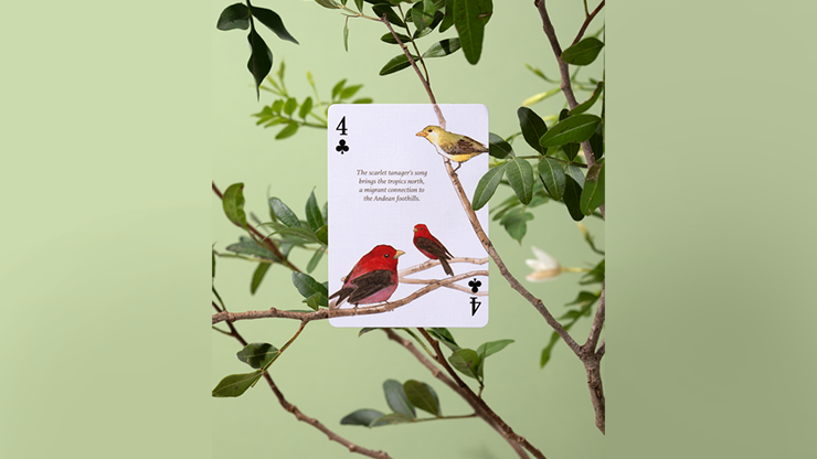 Eastern Forest Playing Cards by Art of Play