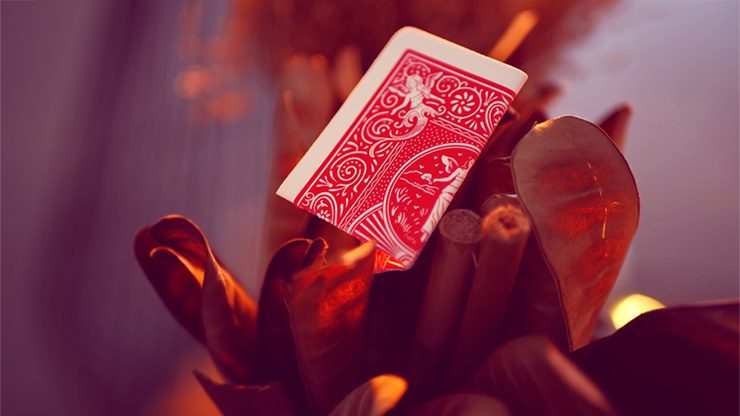 マイパワーデック 赤 （マークドデック）My Power Deck by Jordan Victoria (Red)