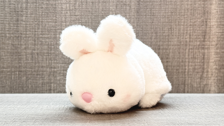 Morphing Plush by Jackie Zhao and JT Magic