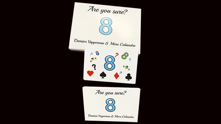 Are You Sure? by Damien Vappereau and Marc Cﾃｩliandre