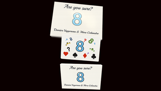 Are You Sure? by Damien Vappereau and Marc Cﾃｩliandre