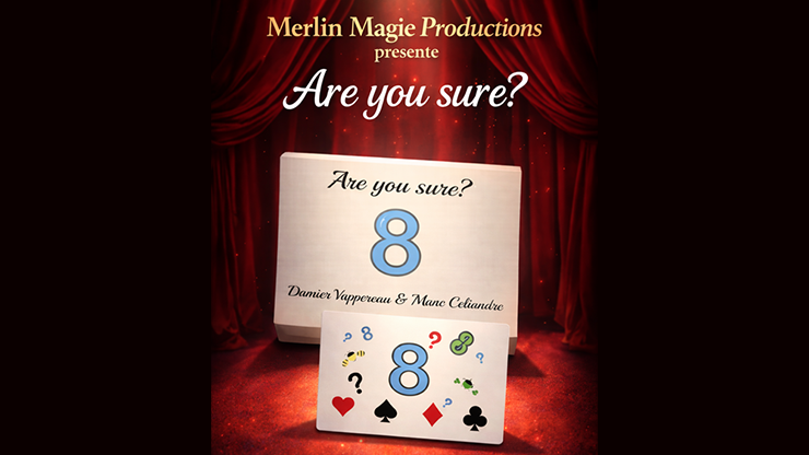 Are You Sure? by Damien Vappereau and Marc Cﾃｩliandre