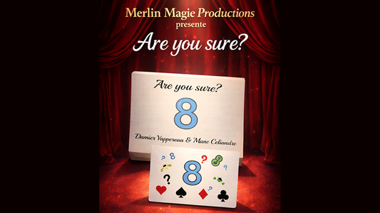 Are You Sure? by Damien Vappereau and Marc Cﾃｩliandre