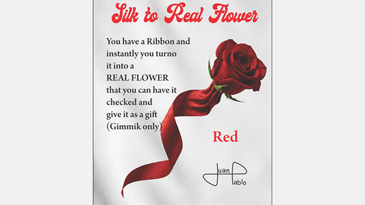 Silk to Real Flower (Red) by Juan Pablo