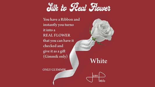 Silk to Real Flower (White) by Juan Pablo