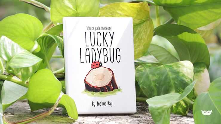 Lucky Ladybug (Leaf) by Joshua Ray & Deuce Gala Magic