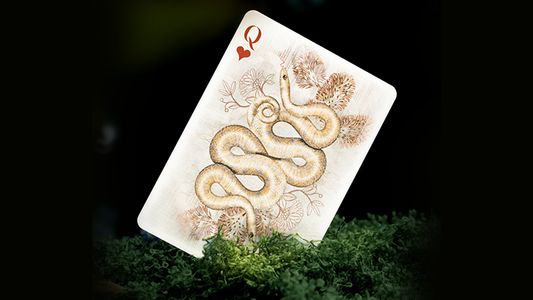 Moooi Collector's Edition (Memento Moooi) by theory11