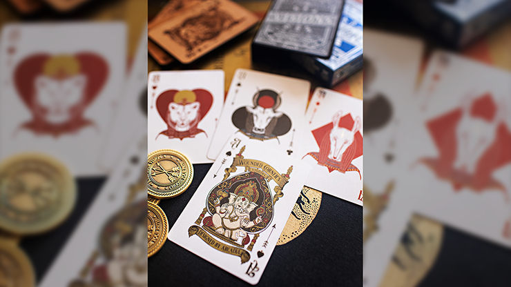 Visions (Present) Playing Cards by Wounded Corner