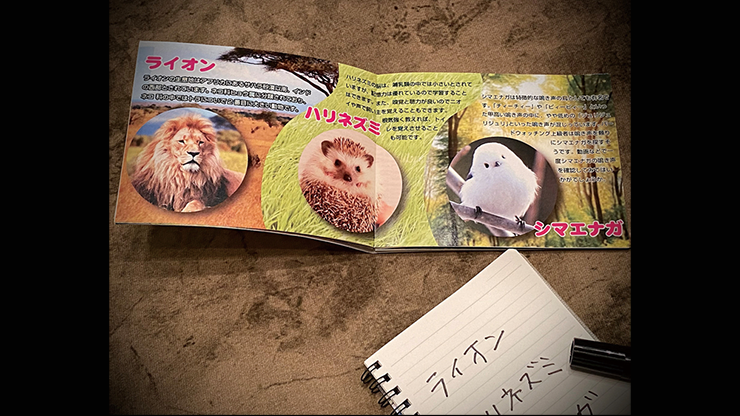 Mentalist's Animal Photo book 2024 by Tenyo Magic - Trick